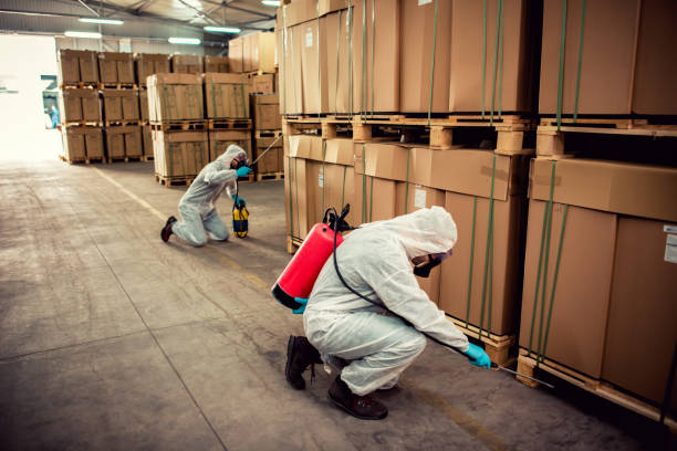 Best Pest Prevention Services  in West Columbia, TX