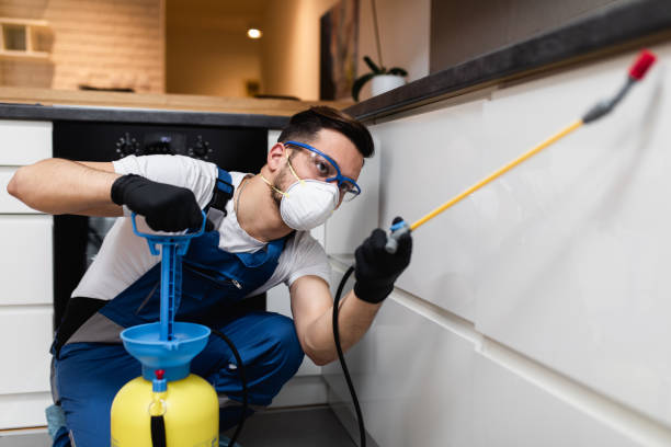 Best Pest Removal Services  in West Columbia, TX