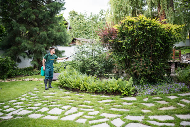Best Wasp Removal Services  in West Columbia, TX