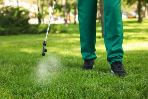 Best Ant Control Services  in West Columbia, TX