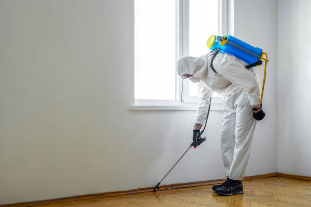 Best Pest Prevention Services  in West Columbia, TX