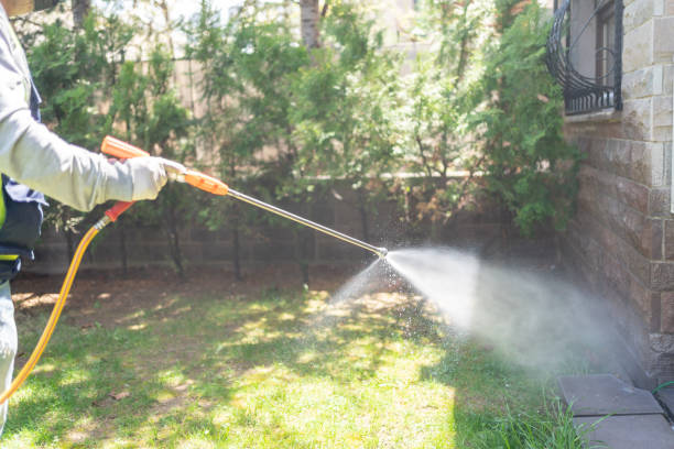 Best Cockroach Control Services  in West Columbia, TX