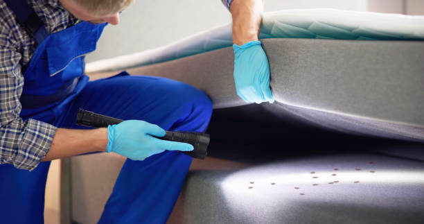 Reliable West Columbia, TX Pest Control Solutions