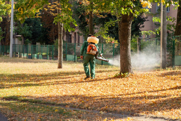 Wasp Removal Services in West Columbia, TX