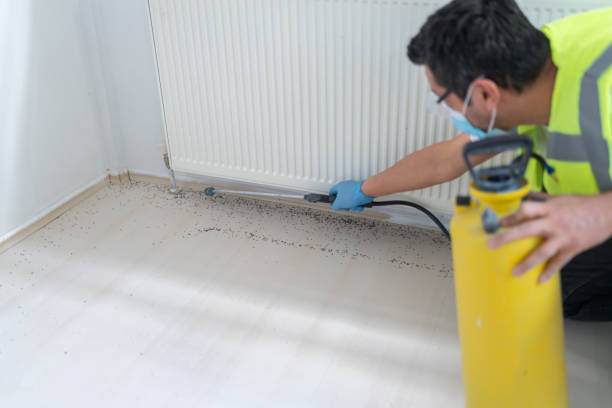 Best Emergency Pest Control  in West Columbia, TX